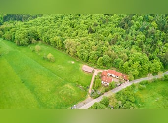 Pferdeimmobilie im Donnersbergkreis – Charmantes Hofensemble mit privater Pferdehaltung 