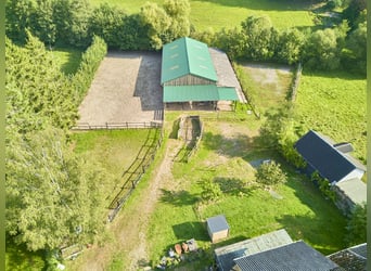 Pferdeimmobilie im Kreis Birkenfeld mit kleiner Reithalle und Pferdeboxen in Niederhambacher Waldran