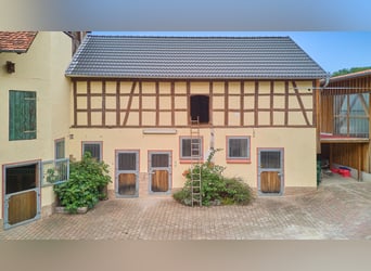 Pferdeimmobilie in Hessen – charmantes Fachwerkensemble mit Reithalle in Groß-Bieberau!