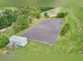 Pferdeimmobilie in Hessen – charmantes Fachwerkensemble mit Reithalle in Groß-Bieberau!