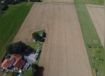 Pferdeliebe trifft auf Kapitalanlage – Sichern Sie sich Ihr Stück vom Paradies!