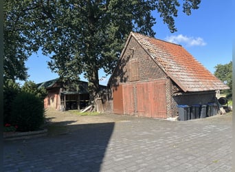 Pferdeliebe trifft auf Kapitalanlage – Sichern Sie sich Ihr Stück vom Paradies!
