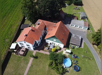 Pferdeliebe trifft auf Kapitalanlage – Sichern Sie sich Ihr Stück vom Paradies!