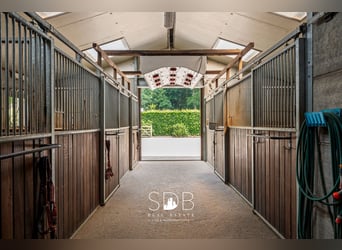 Prachtig landhuis met paardenfaciliteiten op 15.804m² te Haasdonk