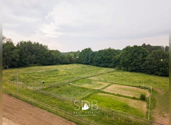 Prachtig landhuis met paardenfaciliteiten op 15.804m² te Haasdonk