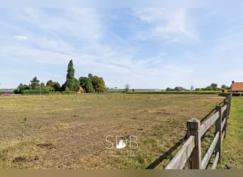 Prachtige landelijke woning met hippische accommodatie op 25.910m² te Antwerpen | België