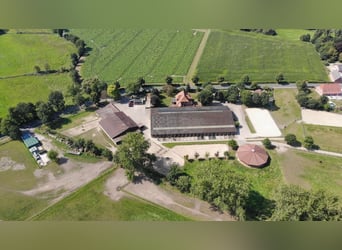 Prämierte und topgepflegte Reitsportanlage mit guter Anbindung in Riede!