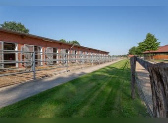 Prämierte und topgepflegte Reitsportanlage mit guter Anbindung in Riede!