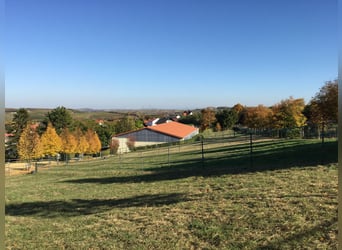 Private riding facility available for rent or lease
