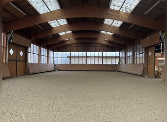 Private riding facility – recently renovated, including an indoor arena, large outdoor sand school, 