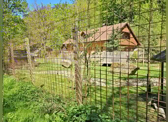 Privates Anwesen, ruhig im Grünen in Alleinlage gelegen, ideal für Pferde- und Naturfreunde