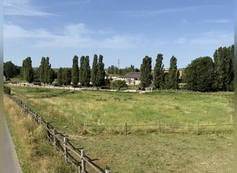 Professional equestrian center in Seine-et-Marne