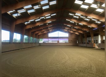 Professional equestrian center in Seine-et-Marne