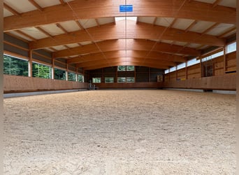 Professionelle Reitsportanlage in der Schweiz - provisionsfrei