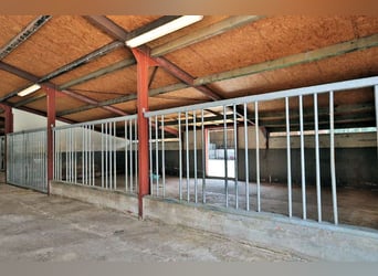 Professionelles Reitsportzentrum NRW