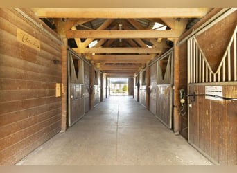 Rare opportunity in Île-de-France
