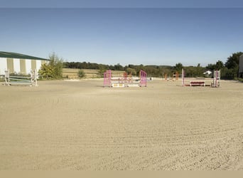 Rare opportunity in Île-de-France