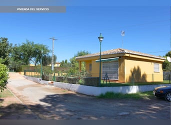 Ref 2535Sg Spanien, Valencia, Bétera - elegante Villa mit Reitstall zu verkaufen!