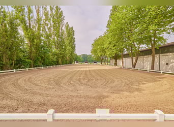 Reitanlage im Kreis Wesel zu verkaufen – Preis inkl. Dachsanierung!