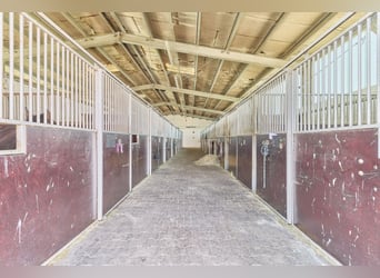 Reitanlage im Rhein-Main-Gebiet in Egelsbach mit mehr als 20 Hektar Fläche!