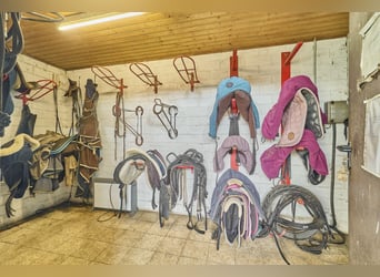 Reitanlage im Rhein-Main-Gebiet in Egelsbach mit mehr als 20 Hektar Fläche!