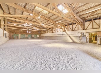 Reitanlage in Eppingen mit Gastronomiebetrieb in malerischer Alleinlage – die Moonlight Ranch!