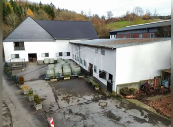 Reitanlage in Kierspe