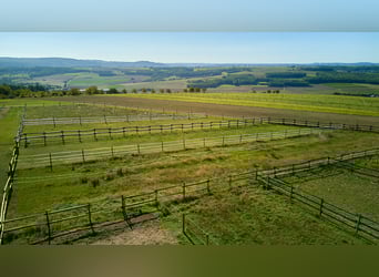 Reitanlage in Lonnig zu verkaufen – in Mitten des Sonderbaugebietes “Wohnen mit Pferden”