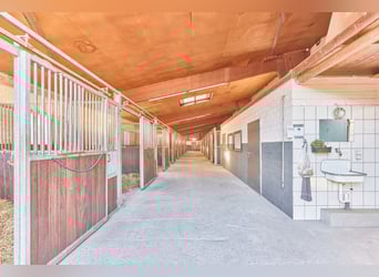 Reitanlage in Niedersachsen (Landkreis Uelzen) mit Wohn- und Gästehaus zu verkaufen!