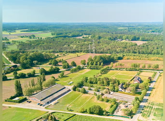 Reitanlage in NRW in Hamminkeln zu verkaufen – Professioneller Turnierstall mit gehobenem Wohnkomfor