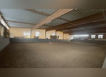 Reitanlage in Osterburken – vielseitige Nutzungsmöglichkeiten auf großzügigem Anwesen