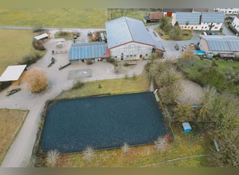 Reitanlage mit Wohnhaus, arrondierten Flächen und moderner PV-Anlage