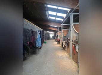 Reitbetrieb Reitanlage mit Mehrfamilienhaus