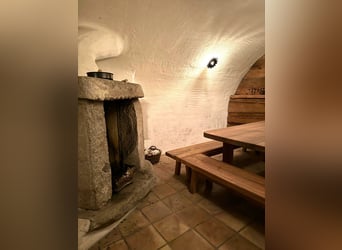 Reiterhof - Hofgut bei Freiburg im Breisgau