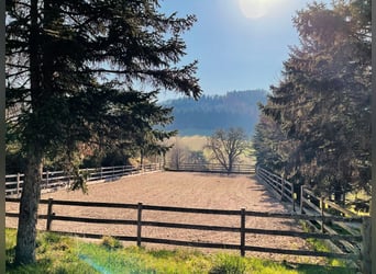 Reiterhof - Hofgut bei Freiburg im Breisgau
