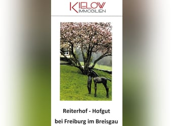 Reiterhof - Hofgut bei Freiburg im Breisgau
