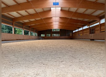 Reitsportanlage für den professionellen Bedarf in der Schweiz