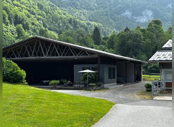 Reitsportanlage für den professionellen Bedarf in der Schweiz