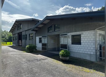 Reitsportanlage für den professionellen Bedarf in der Schweiz