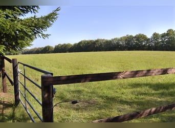 Renovated residential building with six horse stalls, riding area, and pastures enclosed by wooden f