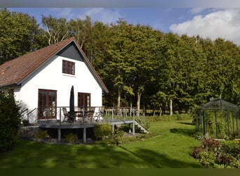 Renovated residential building with six horse stalls, riding area, and pastures enclosed by wooden f