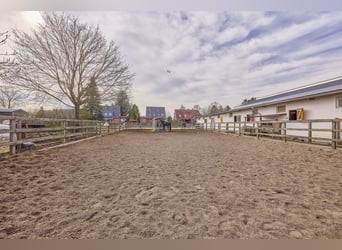 Riding facility in Dannenberg (Elbe), Lower Saxony – renovated farm and residential building with po