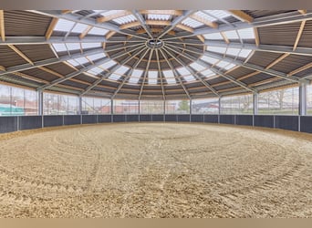 Riding facility in Dannenberg (Elbe), Lower Saxony – renovated farm and residential building with po