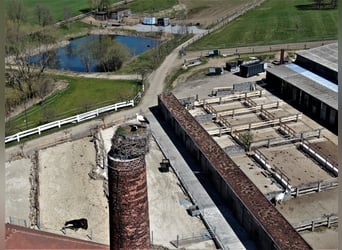 Riding facility near Dresden – Part share