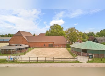 Riding facility near Hanover – 29 horse boxes, professional training facilities & 4 residential unit