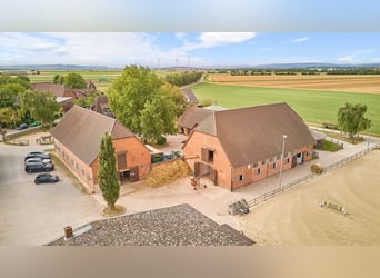 Riding facility near Hanover – 29 horse boxes, professional training facilities & 4 residential unit