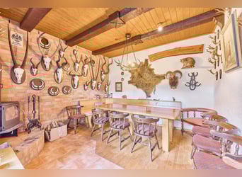 Riding facility near Hanover – well-maintained stables, professional training facilities, and four a