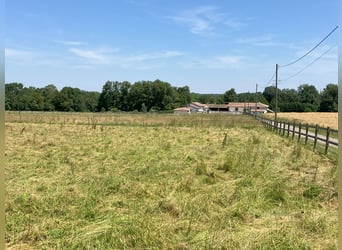 Riding School or Equestrian Center