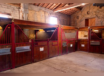 Riding School or Equestrian Center
