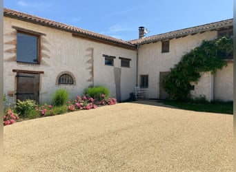 Riding School or Equestrian Center
